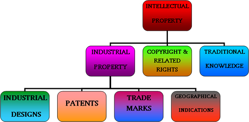 ip_pic