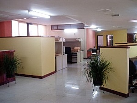 jipo_pic